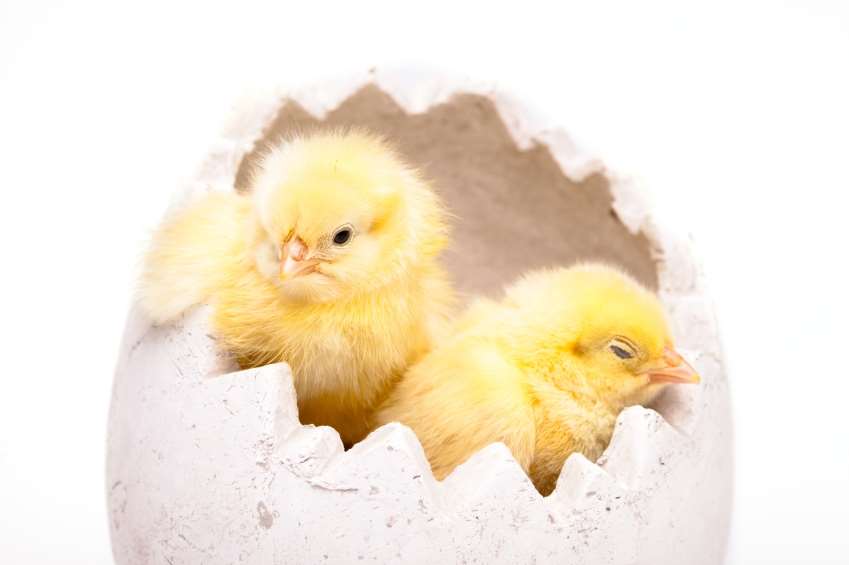 istock_000023482052small